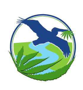 Delta MedMar